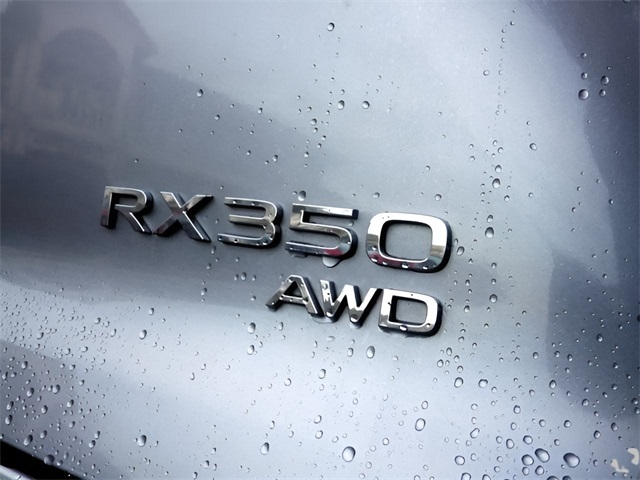 2024 Lexus RX 350 Luxury photo 4