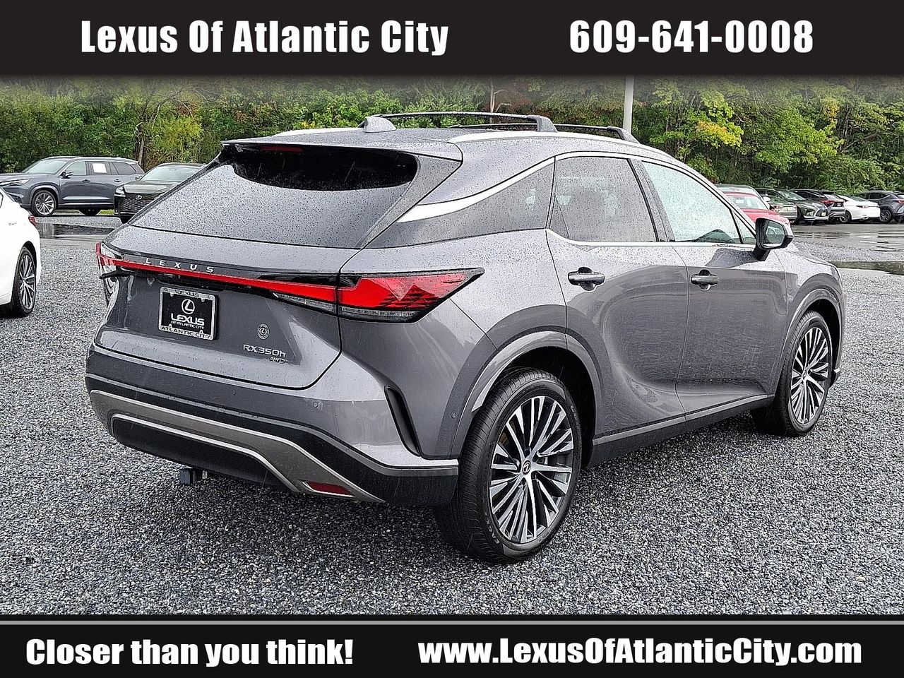 2023 Lexus RX 350h photo 6