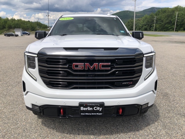 2022 Gmc Sierra 1500 AT4 photo 8