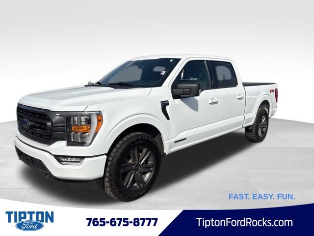 2023 Ford F-150 XLT's photo