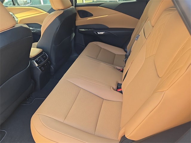 2025 Lexus RX 350h Premium photo 13