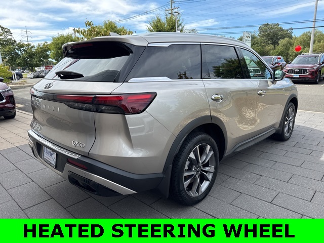 2023 Infiniti QX60 Luxe photo 6