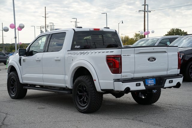 2025 FORD F-150 - Image 27