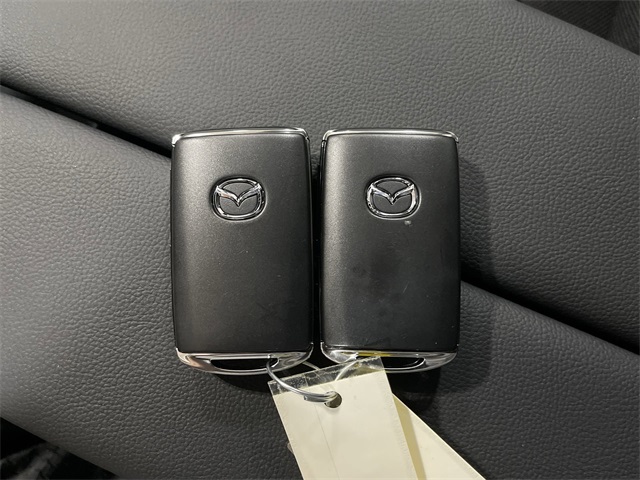 2025 Mazda CX-50 2.5 S Preferred photo 31