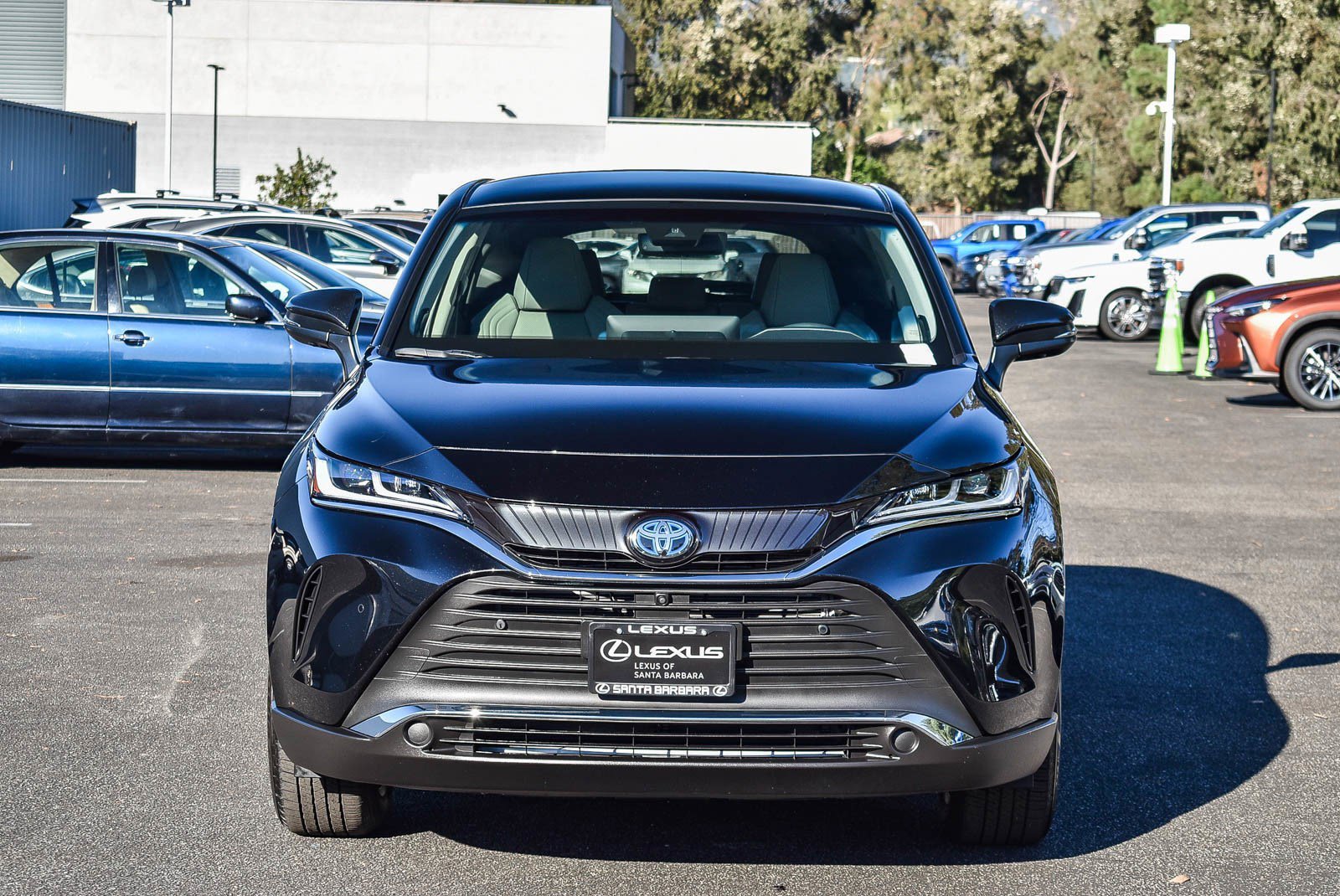 2021 Toyota Venza Limited photo 2