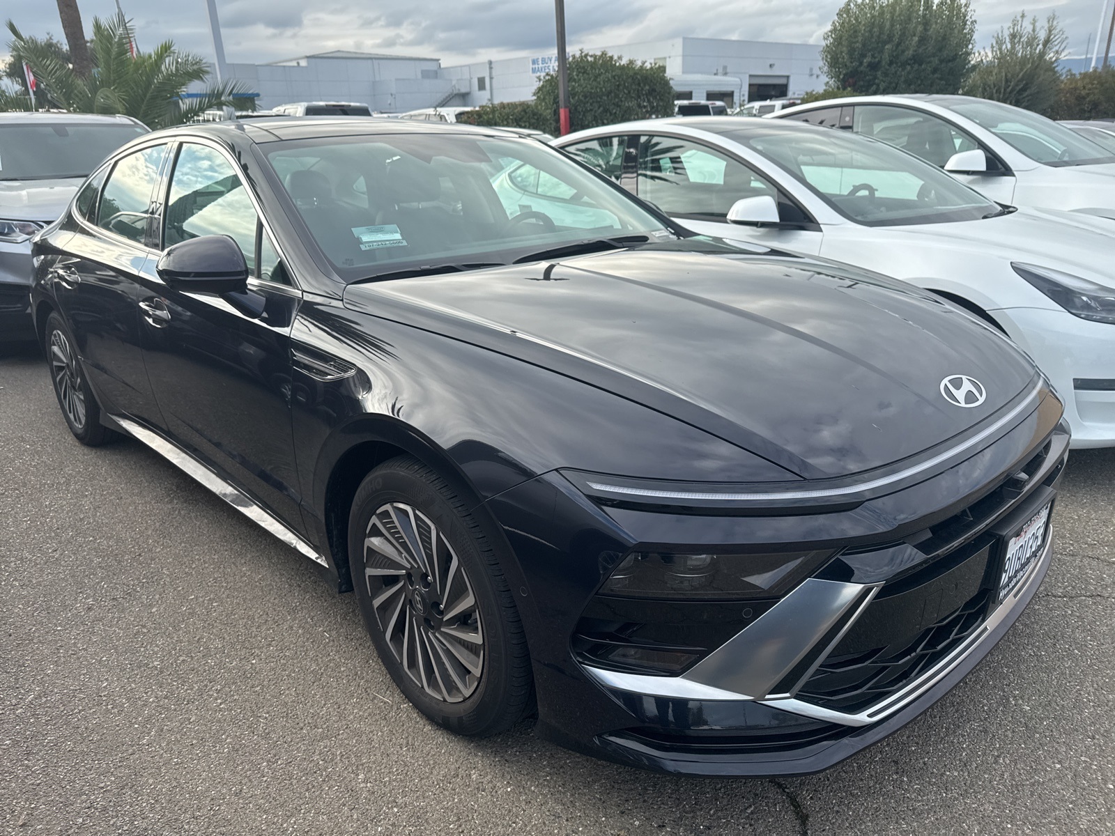 2025 Hyundai Sonata Hybrid Limited photo 3