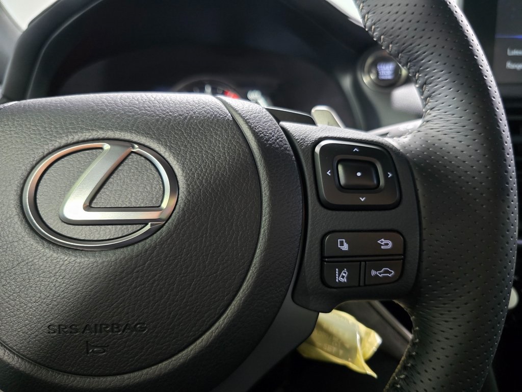 2025 Lexus IS 300 F SPORT photo 16