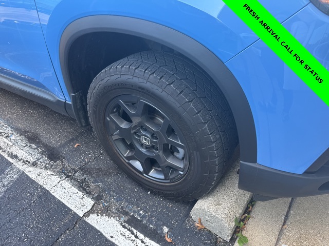 2024 Honda Pilot TrailSport photo 2