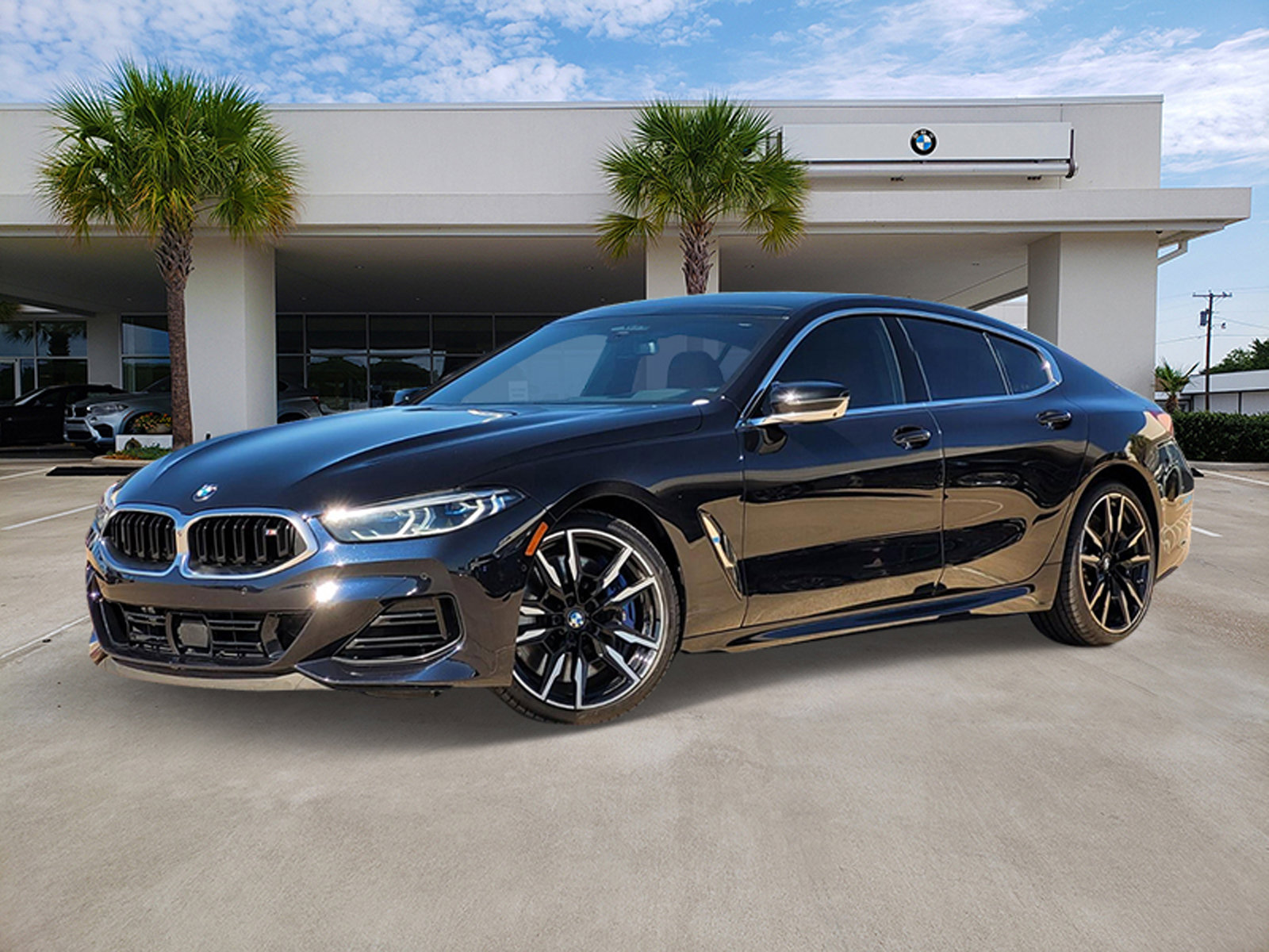2024 BMW 8 Series M850i's photo