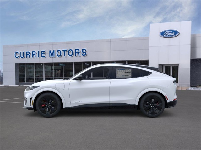 2025 FORD MUSTANG MACH-E - Image 25