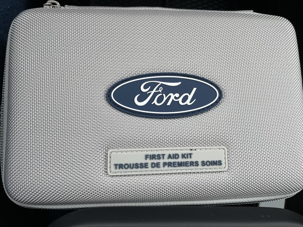 2025 Ford Mustang Mach-E Premium photo 12