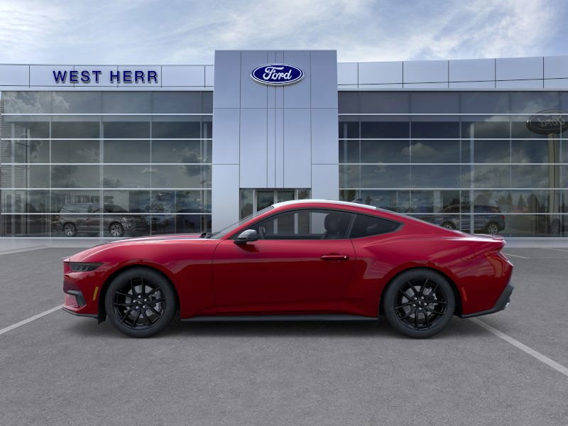 2025 Ford Mustang EcoBoost Premium photo 4