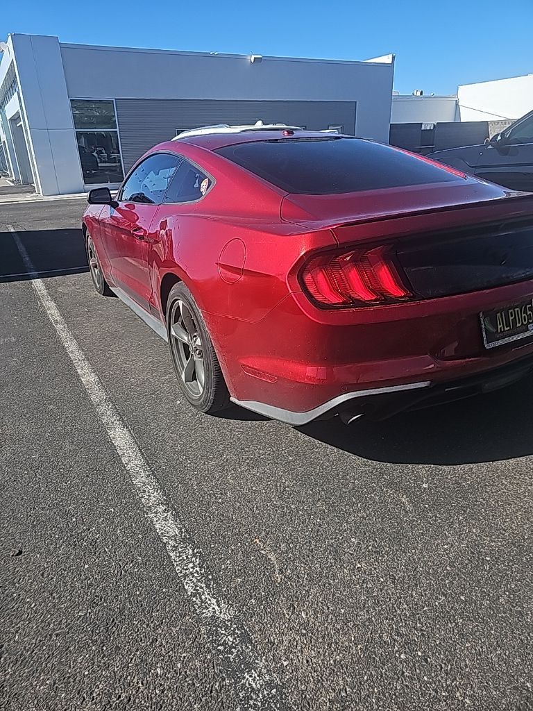 2019 Ford Mustang EcoBoost photo 2