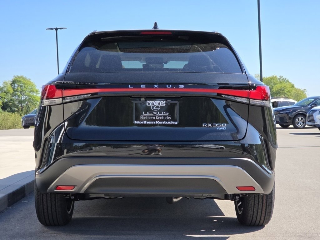 2025 Lexus RX 350 Luxury photo 21