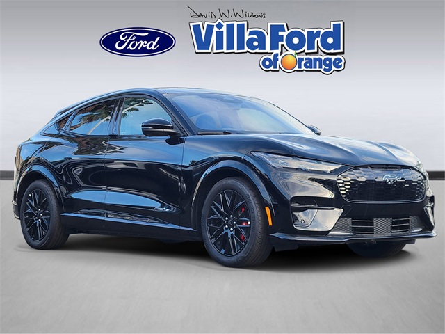 2025 Ford Mustang Mach-E Premium RWD's photo