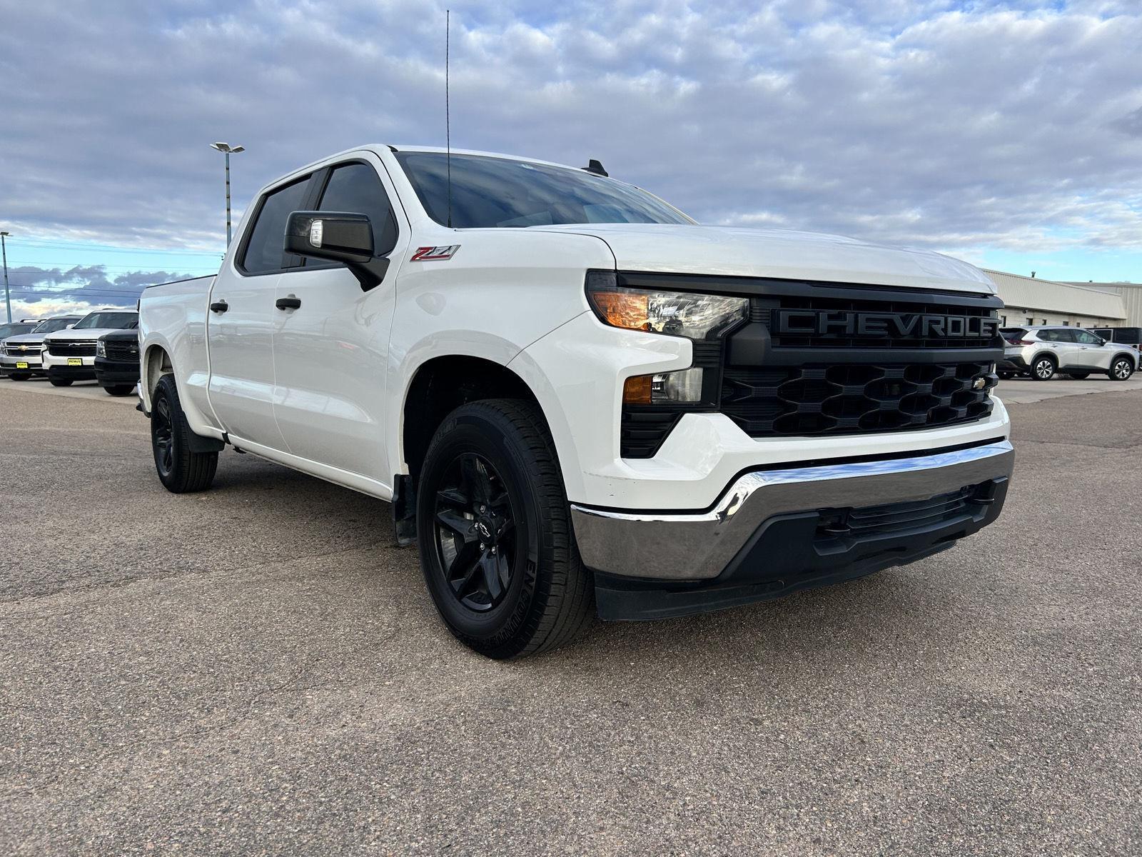 2022 Chevrolet Silverado 1500 Work Truck's photo