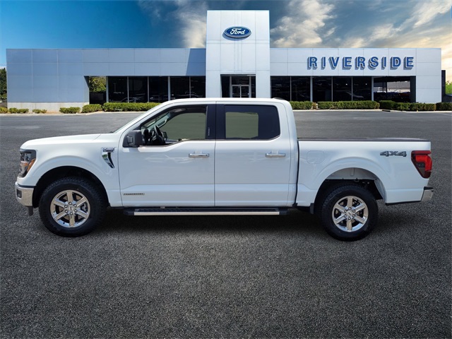 2024 Ford F-150 XLT photo 4