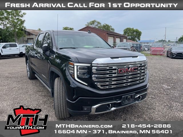 2024 Gmc Sierra 1500 Denali photo 2