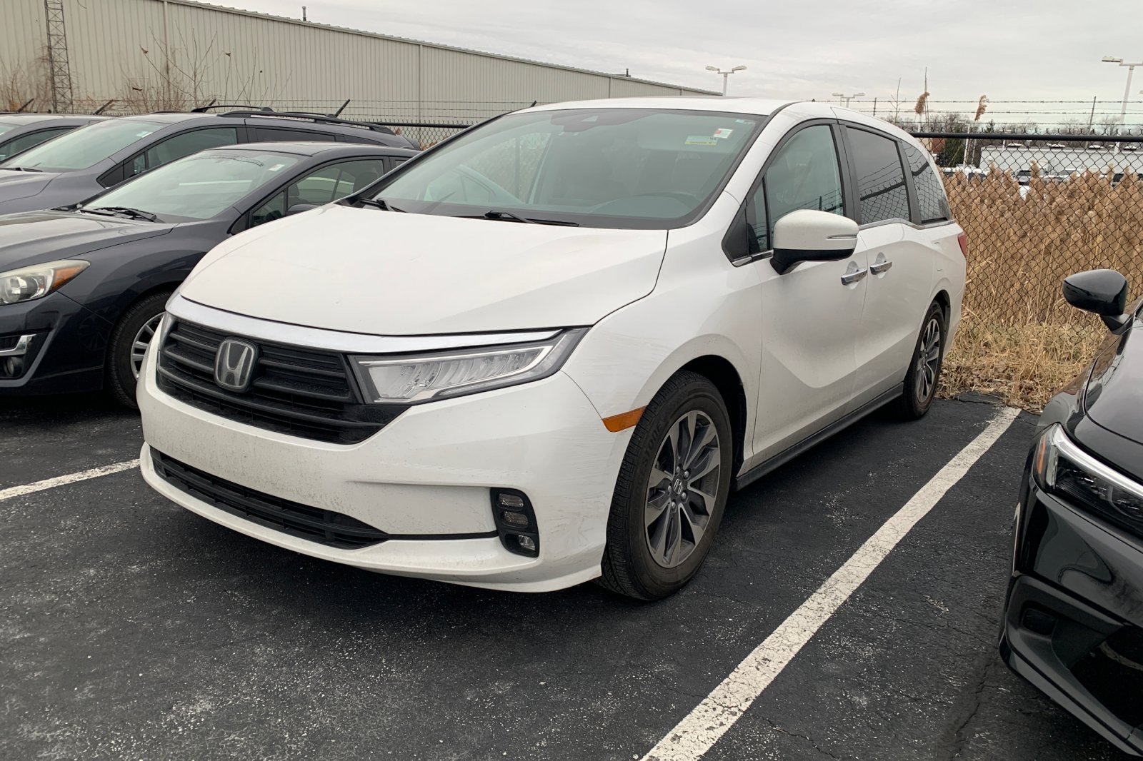 2023 Honda Odyssey EX-L's photo
