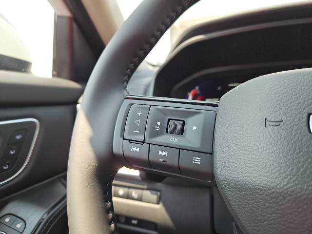 2025 Nissan Rogue Platinum photo 28