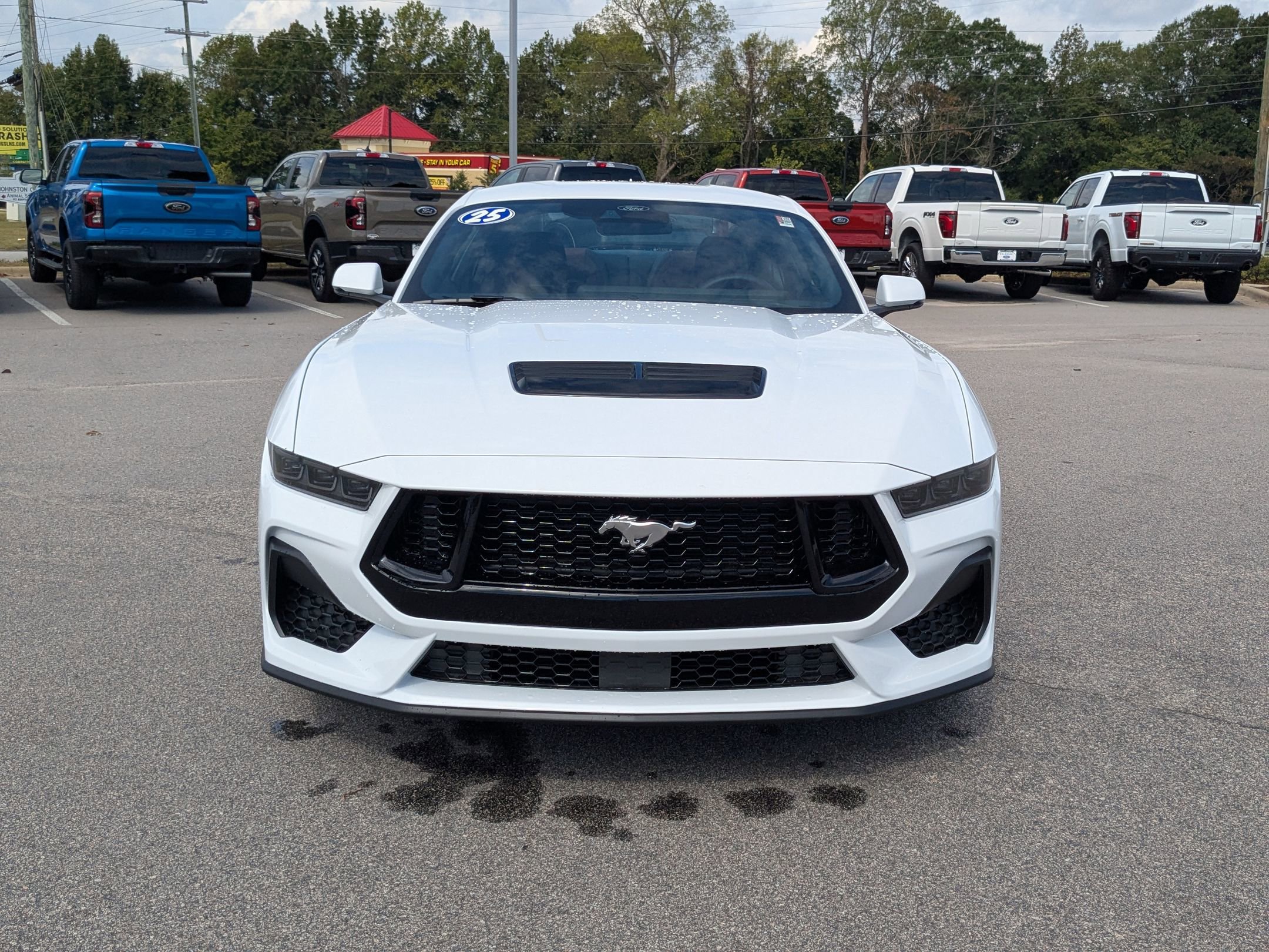 2025 Ford Mustang GT Premium photo 4