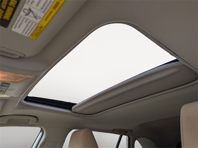 2019 Toyota RAV4 Hybrid XLE photo 8
