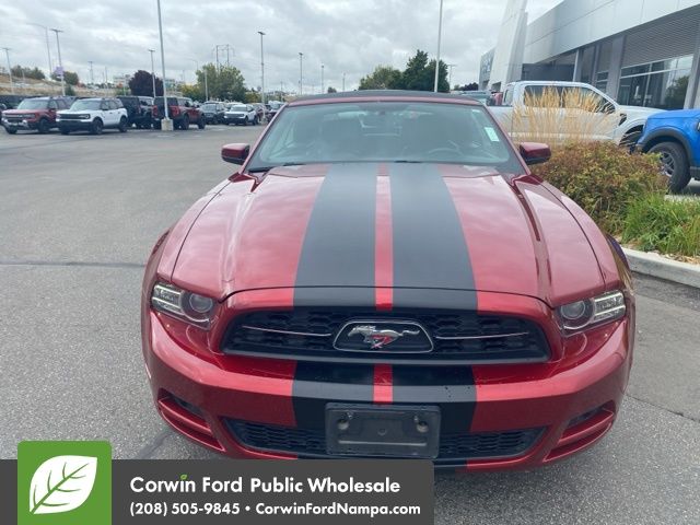 2014 Ford Mustang V6 Premium photo 2