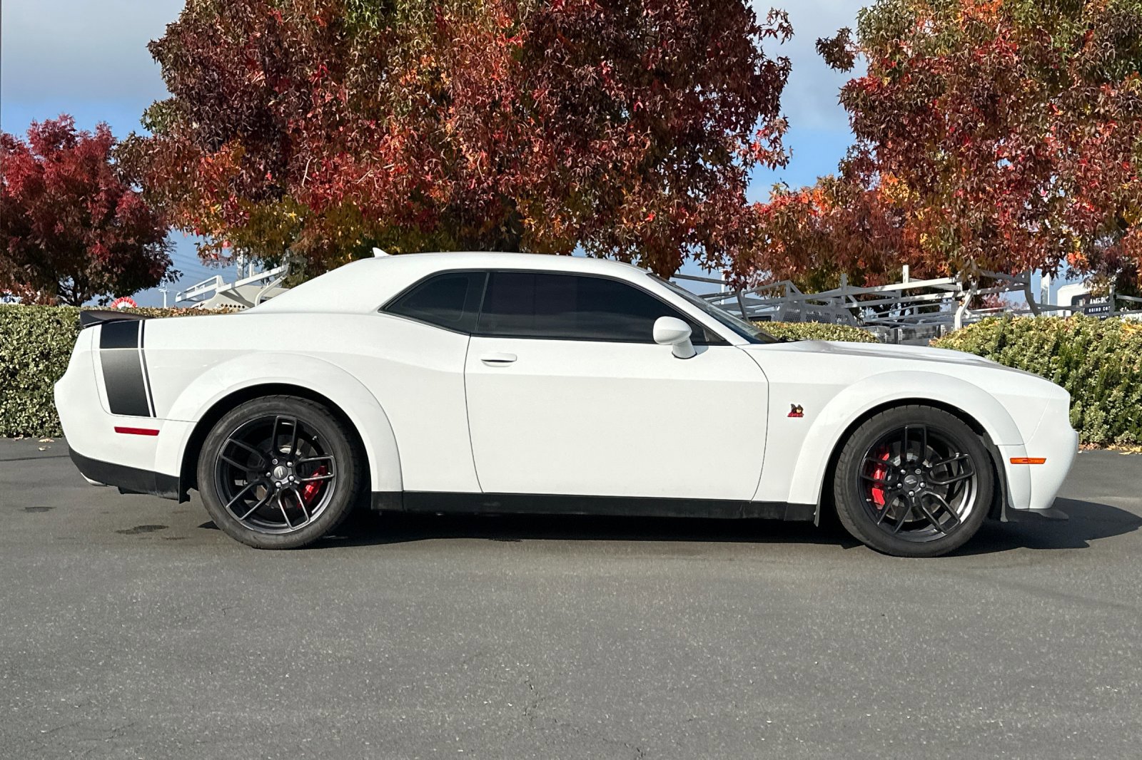 2019 Dodge Challenger R/T Scat Pack Widebody photo 3
