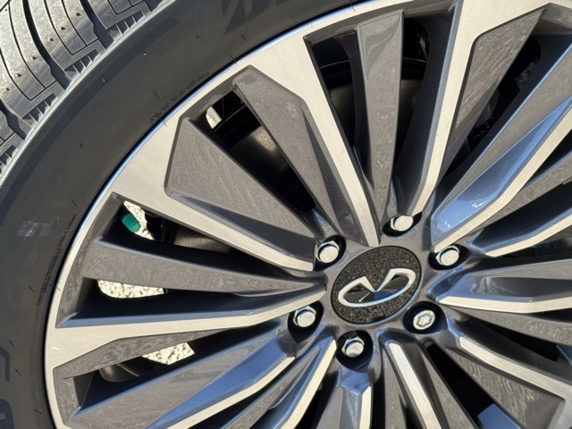 2025 Infiniti QX80 Luxe photo 5