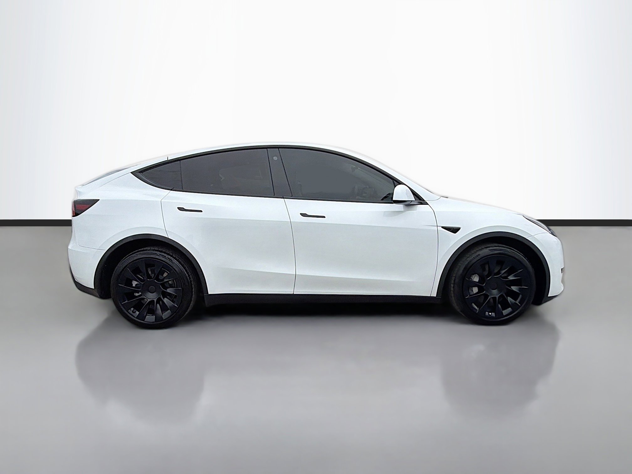 Used 2023 Tesla Model Y Long Range with VIN 7SAYGDEE1PA077420 for sale in Tampa, FL