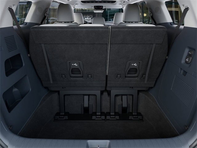 2026 Kia Carnival SX Prestige photo 19