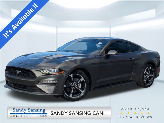 2020 Ford Mustang EcoBoost's photo