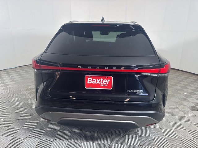 2024 Lexus RX 350 Luxury photo 3