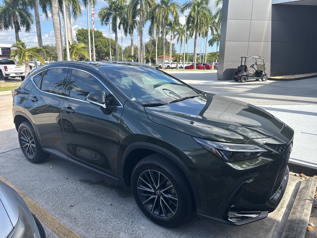 2024 Lexus NX 250's photo