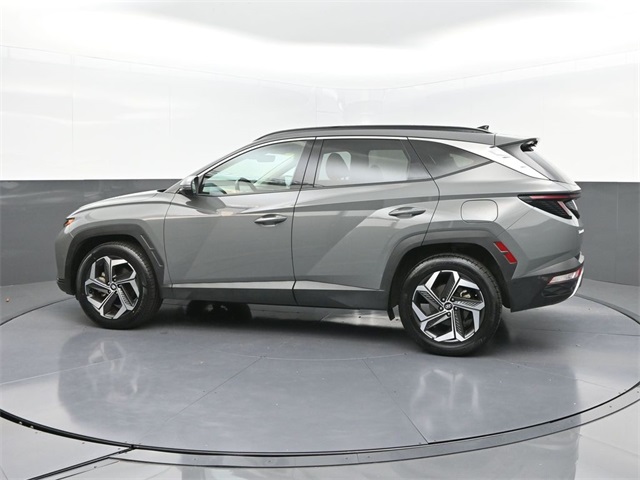 2024 Hyundai Tucson Limited photo 2