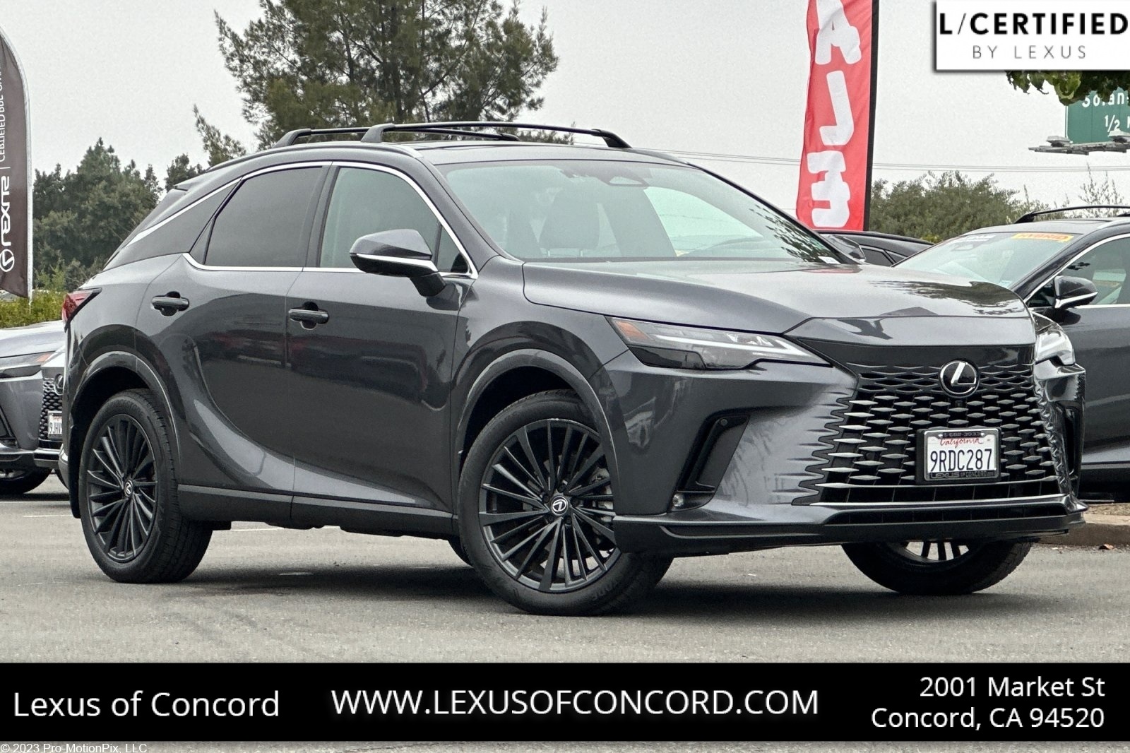2024 Lexus RX Hybrid 350h's photo