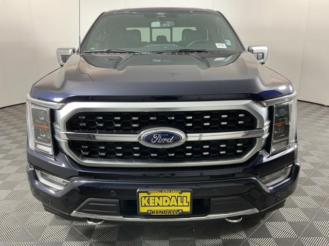 2022 Ford F-150 Platinum photo 2