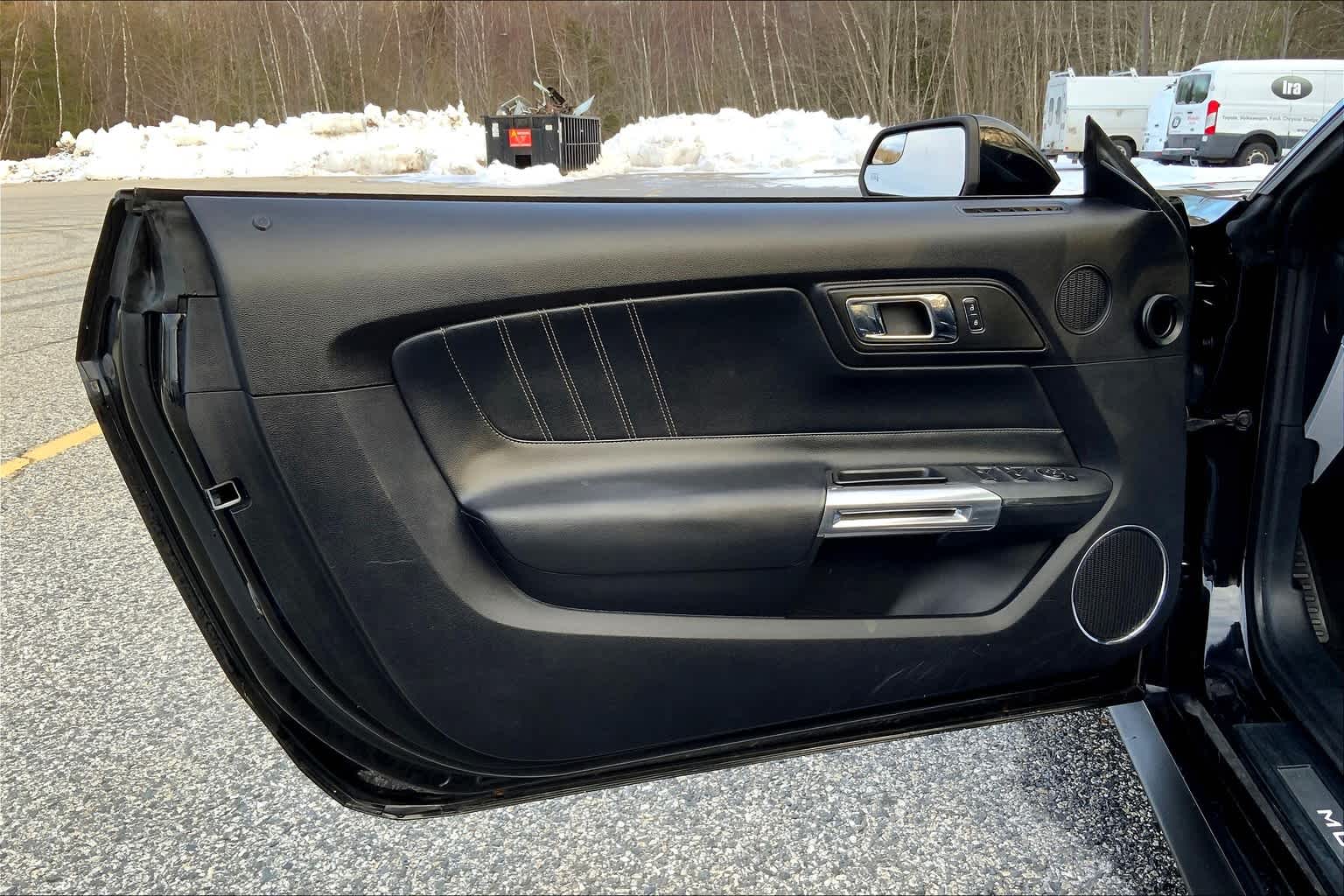 2016 Ford Mustang EcoBoost Premium photo 19