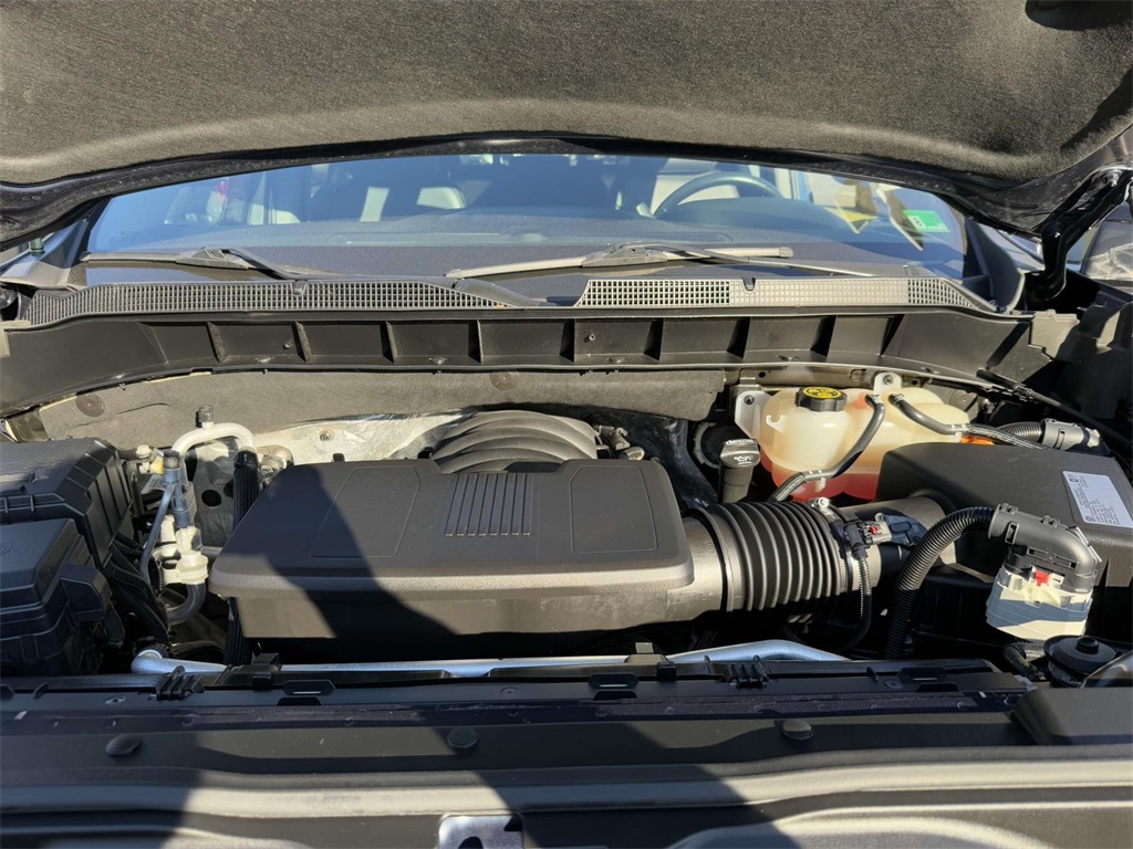 2021 Chevrolet Silverado 1500 LT Trail Boss photo 12