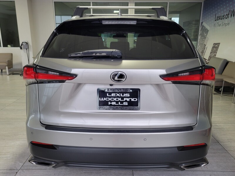 2018 Lexus NX 300 Luxury photo 3