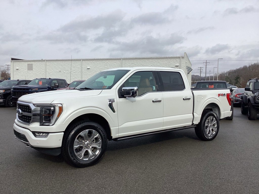 2021 Ford F-150 Platinum's photo