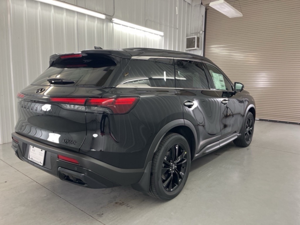 2025 Infiniti QX60 Luxe photo 6