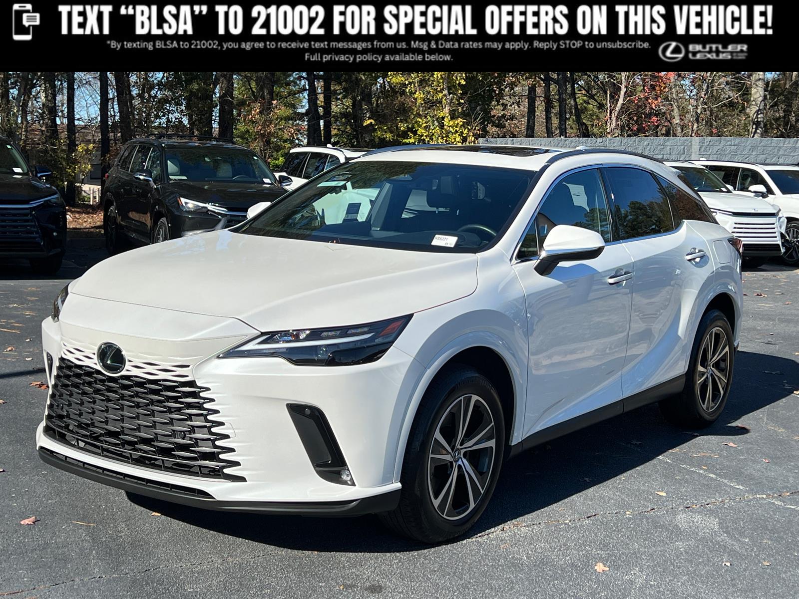 2025 Lexus RX 350's photo