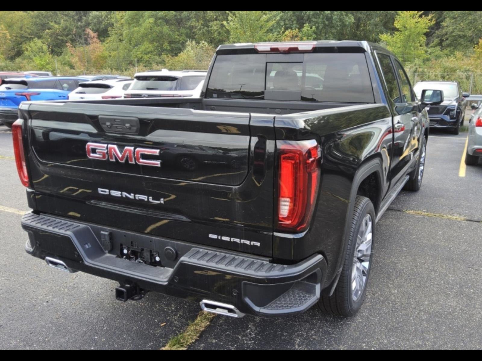 2025 Gmc Sierra 1500 Denali photo 4