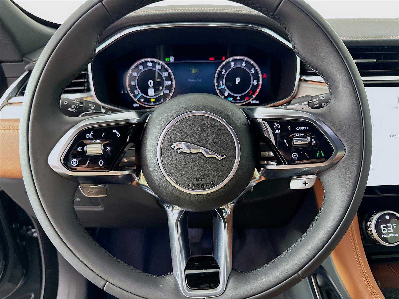 2026 Jaguar F-PACE P250 R-Dynamic S photo 10