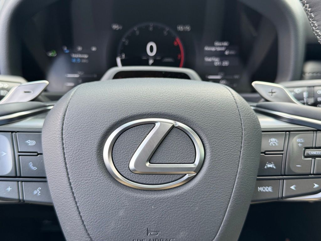 2025 Lexus LX 600 Luxury photo 22
