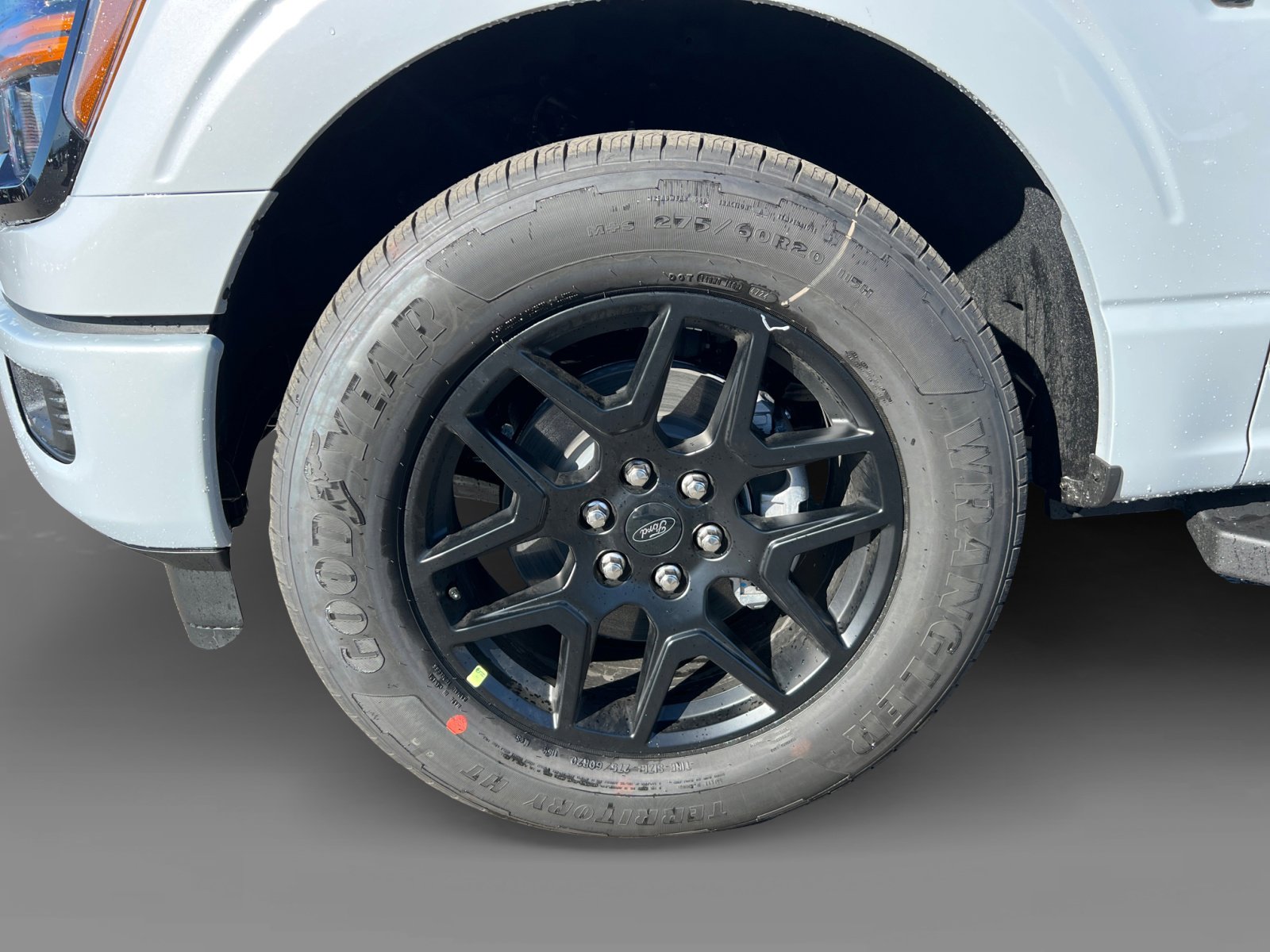 2025 Ford F-150 STX photo 9