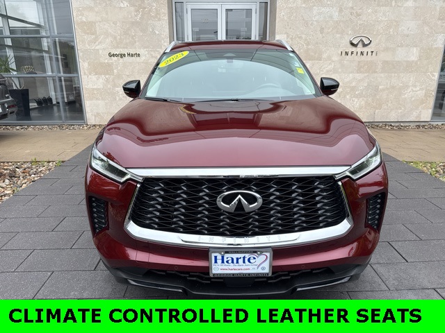 2023 Infiniti QX60 Luxe photo 3