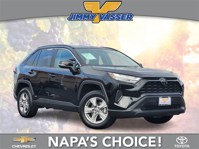 2025 Toyota RAV4 XLE's photo