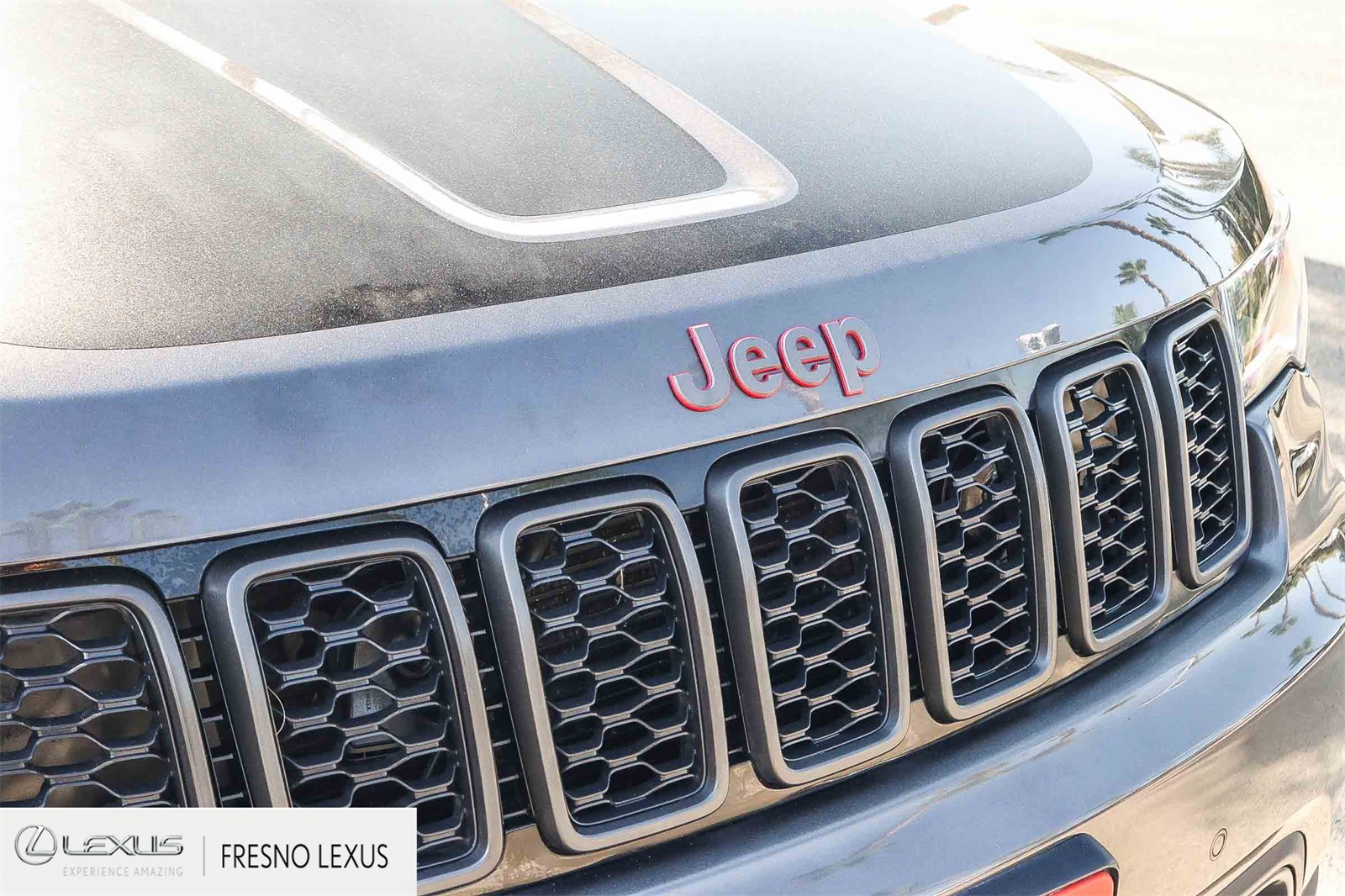 2020 Jeep Grand Cherokee Trailhawk photo 11